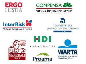 FIRMA FINANSOWO-USŁUGOWO-HANDLOWA "MAXI" Justyna Kieczeń-Wesołek — zdjęcie 1