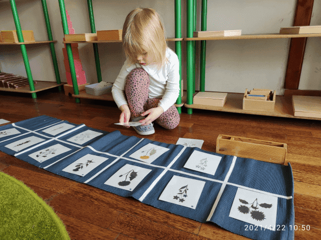 ŻŁOBEK MONTESSORI I PRZEDSZKOLE NIEPUBLICZNE DOMEK PRZEDSZKOLAKA MONTESSORI DANUTA KARCZEWSKA — zdjęcie 3