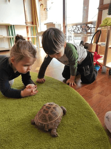 ŻŁOBEK MONTESSORI I PRZEDSZKOLE NIEPUBLICZNE DOMEK PRZEDSZKOLAKA MONTESSORI DANUTA KARCZEWSKA — zdjęcie 5